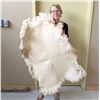 Image 2 : Authentic Sheep Skin Rug
