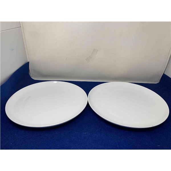 Jord Dinner Plates (2ct)