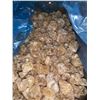 Image 2 : CASE LOT - Buderim Cane Sugar Infused Crystallized Ginger 11.5Kg