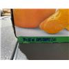 Image 3 : Dole Mandarin Oranges in Juice 20x 107ml