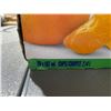 Image 3 : Dole Mandarin Oranges in Juice 20x 107ml