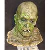 Image 1 : FARWAY CANYON ROTTEN ZOMBIE FULL HEAD MASK 1