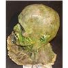Image 2 : FARWAY CANYON ROTTEN ZOMBIE FULL HEAD MASK 1