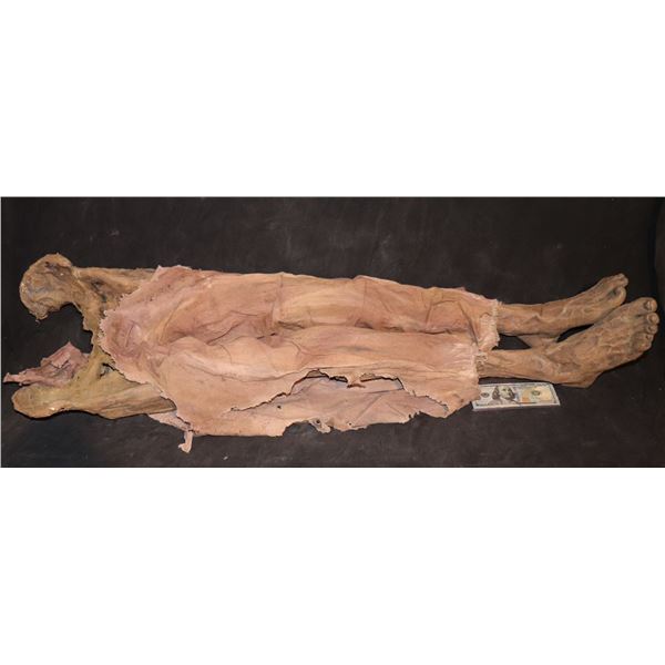 HELLBOY RUSSIAN HALF CORPSE CORPSE LEGS W/ PANTS LEFT IN THE CASKET SUPER HERO