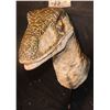 Image 4 : JURASSIC PARK THE RIDE VELOCIRAPTOR HEAD SUIT PUPPET