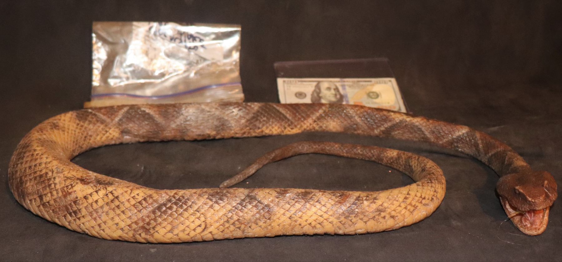 APOCALYPTO SILICONE SNAKE SCREEN MATCHED