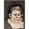 Image 1 : FRANKENSTEIN MASK FROM HALLOWEEN HORROR NIGHTS COMMERCIAL