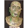 Image 1 : FARWAY CANYON ROTTEN ZOMBIE F/X HEAD 4