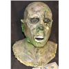 Image 1 : FARWAY CANYON ROTTEN ZOMBIE F/X HEAD 2