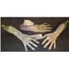 Image 1 : FARWAY CANYON ROTTEN ZOMBIE PAIR OF SEVERED ARMS AND A GLOVE