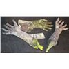 Image 2 : FARWAY CANYON ROTTEN ZOMBIE PAIR OF SEVERED ARMS AND A GLOVE