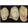Image 1 : FARWAY CANYON ROTTEN ZOMBIE FACIAL APPLIANCES LOT OF 3