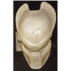 Image 1 : AVP ALIEN VS PREDATOR SCAR MASK CASTING