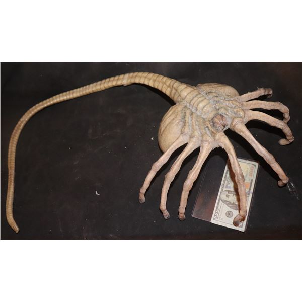 ALIEN FACEHUGGER FROM UNIVERSAL HALLOWEEN HORROR NIGHTS
