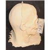 Image 3 : ROTTEN ZOMBIE SKULL FULL HEAD MASK
