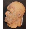 Image 2 : ROTTING MELTING ZOMBIE FULL HEAD MASK