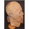 Image 3 : ROTTING MELTING ZOMBIE FULL HEAD MASK