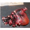 Image 1 : APOCALYPTO BLOODY HEART FROM TEMPLE SACRIFICE 4