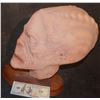 Image 2 : PAINTED ALIEN FULL HEAD LATEX MASK
