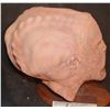 Image 3 : PAINTED ALIEN FULL HEAD LATEX MASK