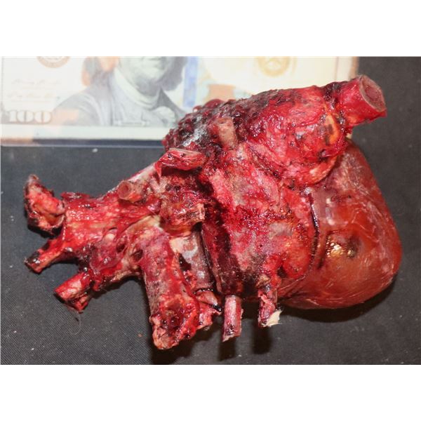 APOCALYPTO BLOODY HEART FROM TEMPLE SACRIFICE