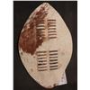 Image 1 : ZULU NATION REAL LEATHER RAW HIDE SHIELD SCREEN USED