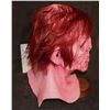 Image 2 : FRANKENSTEIN 1 RED FULL HEAD LATEX MASK