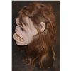 Image 2 : THE ORVILLE ALIEN SASQUATCH BIGFOOT HEAD MASK PUPPET SCREEN MATCHED