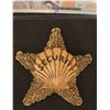 Image 1 : THE FLINTSTONES BEDROCK SECURITY STARFISH BADGE SCREEN USED