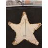 Image 2 : THE FLINTSTONES BEDROCK SECURITY STARFISH BADGE SCREEN USED