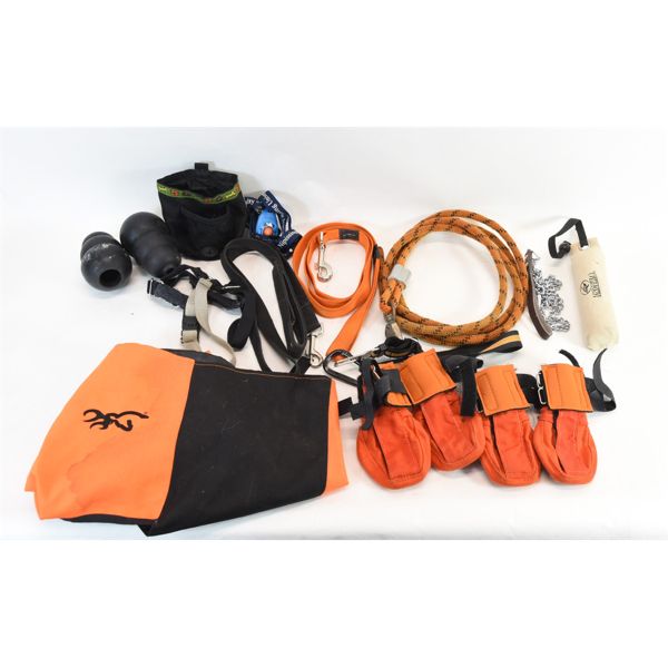 Box Lot Dog Training