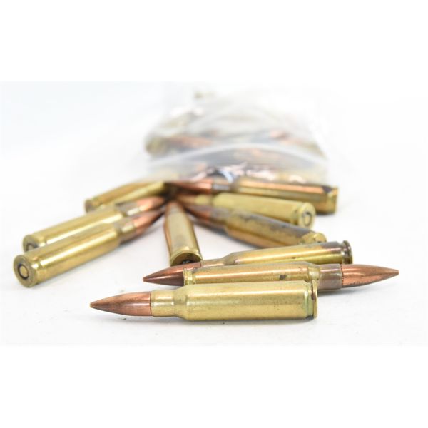 308 Win Ammunition & Blanks