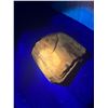 Image 5 : Arizona Petrified Wood + Magazine – Glows Very Orange Fluorescent  but hard to capture with phone ca