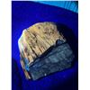 Image 6 : Arizona Petrified Wood + Magazine – Glows Very Orange Fluorescent  but hard to capture with phone ca
