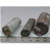 Image 3 : 3 Saskatchewan Core Samples