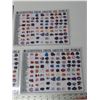 Image 4 : 4 Laminated 8x10 Rock Charts + French Dinosaur Book