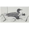 Image 2 : 1988 "Loon with baby" framed art print, by Glen Scrimshaw - 11.5"x9.5"