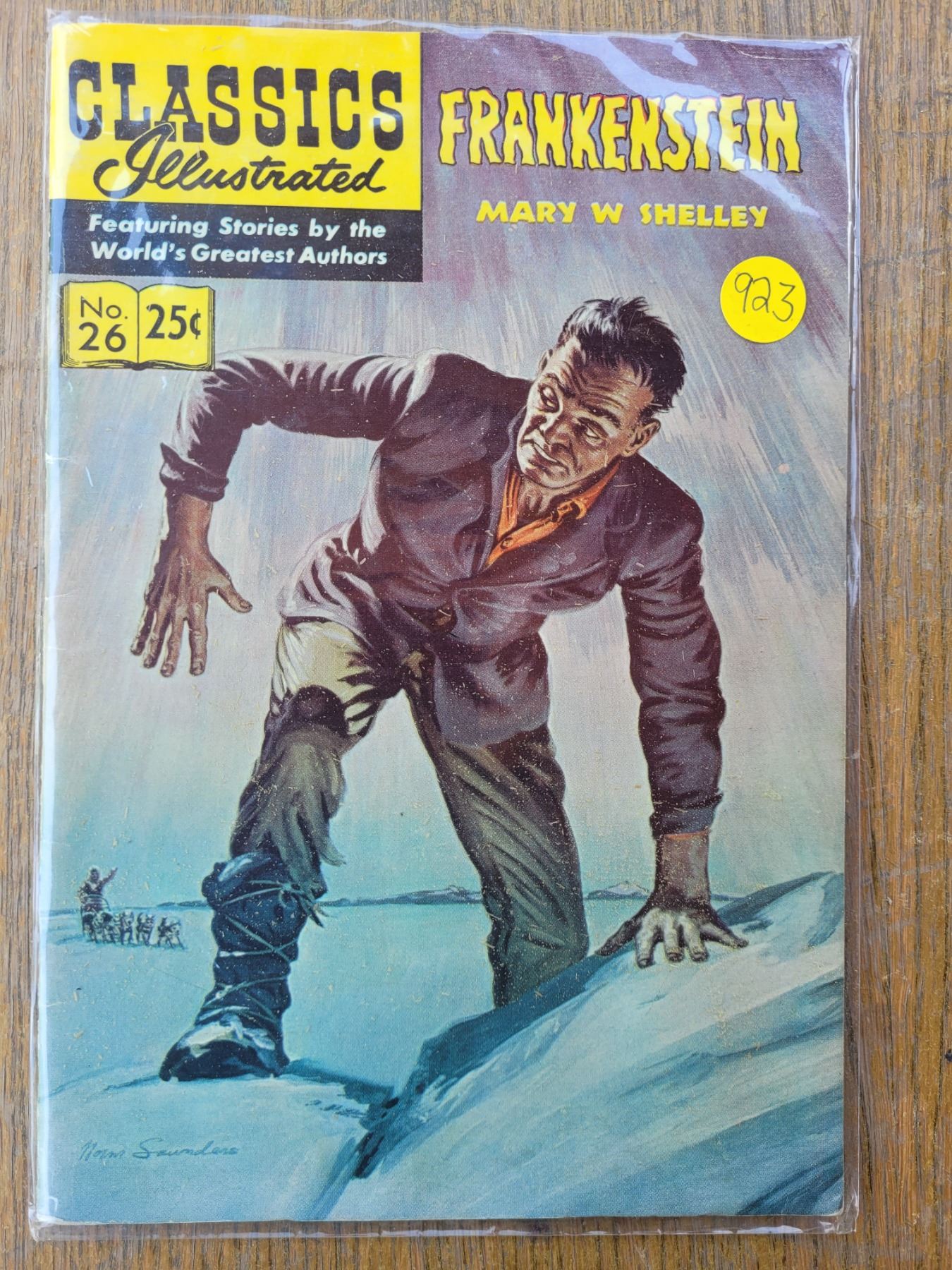 Frankenstein By Mary Shelley Original Classic Illustrated