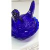 Image 2 : Cobalt Blue Hen on Nest