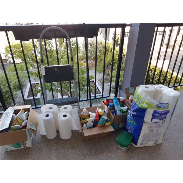 Step Ladder & Cleaning Cat A