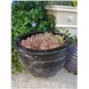 Image 2 : Outdoor Pots Cat A