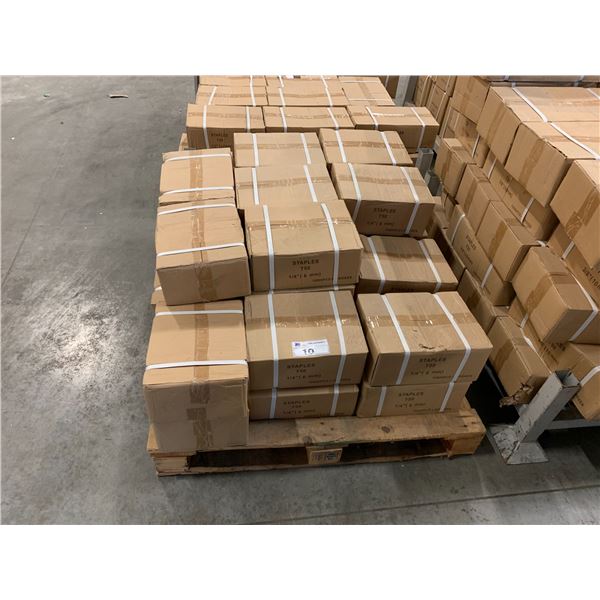 PALLET OF T50 6MM STAPLES