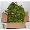 Image 1 : BOX OF ARTIFICIAL PLANT MATERIAL