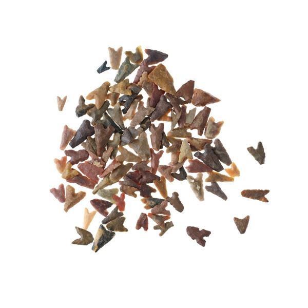 100 Neolithic Sub-Saharan Arrow Points