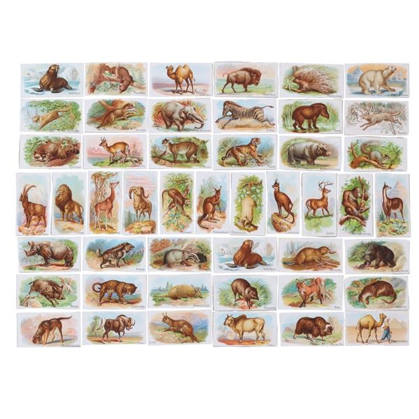 C. 1890 Allen & Ginter Cigarette Cards