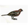 Image 2 : C. 1940s German Made H.E.N. Tin Litho Wind Up Bird