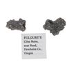 Image 9 : Cline Butte Fulgurite Found In Oregon (2)