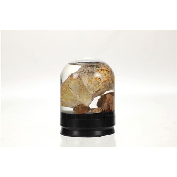 Opals In Display Jar With Water