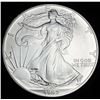 Image 1 : 1992 American Silver Eagle