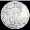 Image 1 : 1996 American Silver Eagle